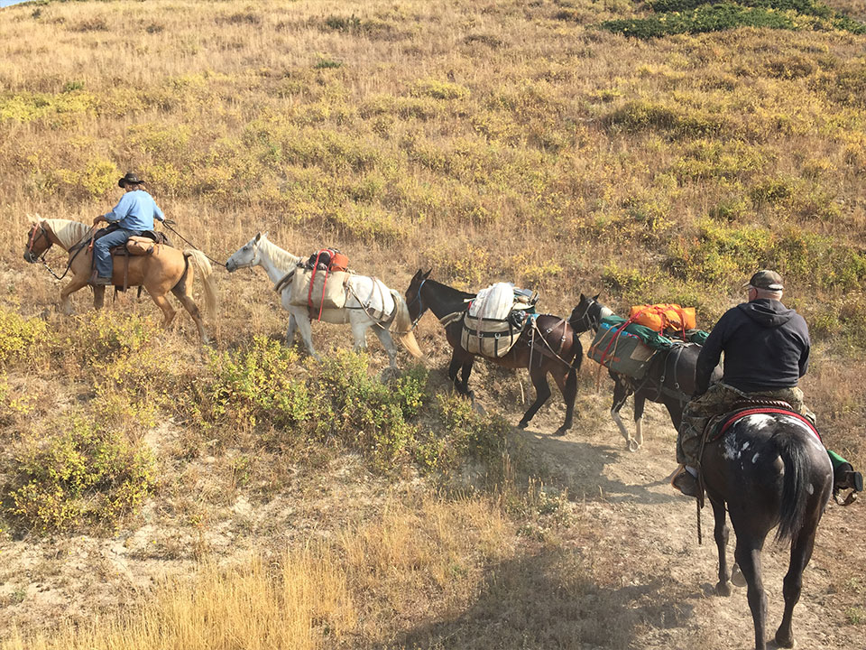 colorado horseback fishing trips